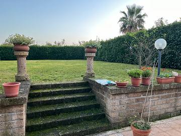 Manutenzione giardino.