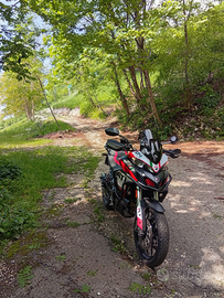 Ducati Multistrada 950