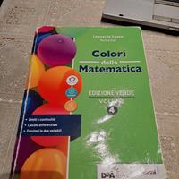 Colori della matematica edizione verde volume 4