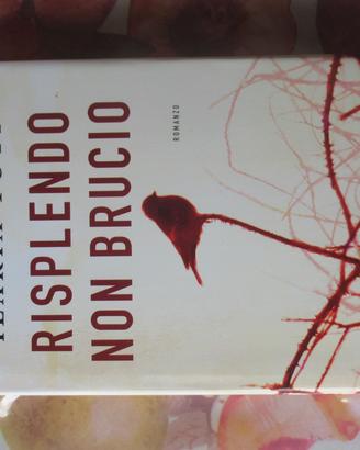 Libro "Risplendo non brucio" di Ilaria Tuti