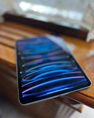 iPad Pro 11” (4ª generazione) 128GB – Perfetto