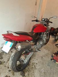 Honda hornet 600