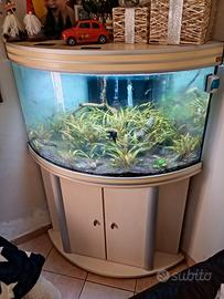 acquario angolare 250lt completo di tutto 