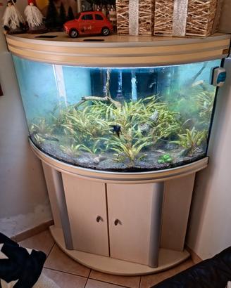 acquario angolare 250lt completo di tutto 