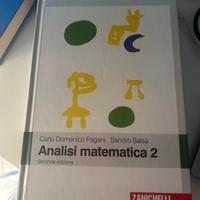 Libro Analisi Matematica 2 - Pagani Salsa