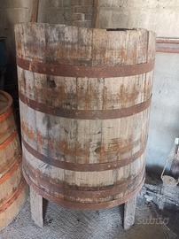 tino di legno di castagno