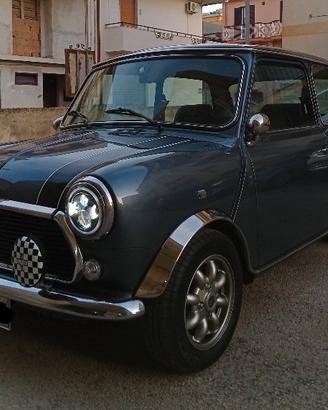 Mini Rover 