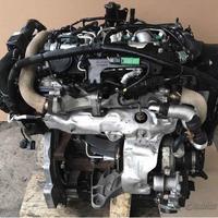 PBL072 Motore Land Rover 2.2td 224DT [2010/--]