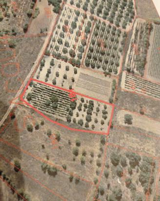 Terreno villamar