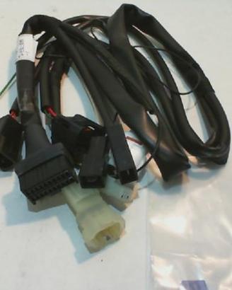 CABLAGGIO KYMCO XCITING 500 RAPID f27-kym-001