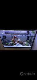 Acquario 80L Completo + Mobile Bianco