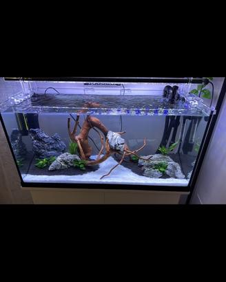 Acquario 80L Completo + Mobile Bianco
