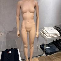 Manichini Donna Professionali - Alta Qualità