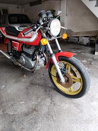 Ducati 500 sport anno 1981