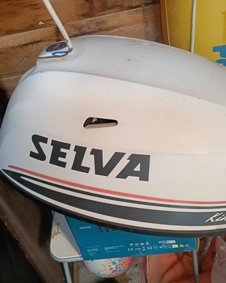 Calandra selva 25 hp kingfish o Yamaha F25DE