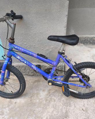 Bici bambino raggio 12
