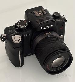 Lumix GH1