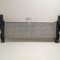 RADIATORE SCARICO GAS EGR FORD Ranger (TKE) 209228