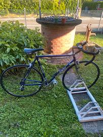 Bici corsa sgnaolin