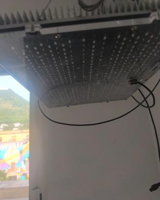 LAMPADA GNC Blu Ray Pro