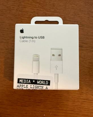 CARICATORE IPHONE USB