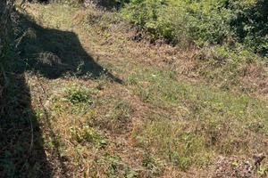 Terreno agricolo