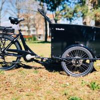 Cargo Bike Canguro 250W