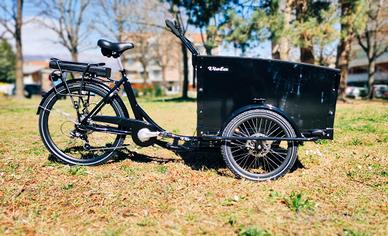 Cargo Bike Canguro 250W