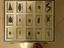 Immagine 3