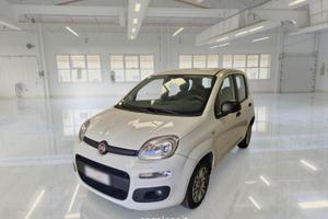 FIAT Panda 1.2 69cv S&S E6d-Temp Easy FINO A ...
