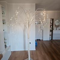 Albero di Natale Salice illuminato