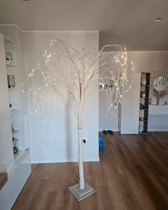 Albero di Natale Salice illuminato
