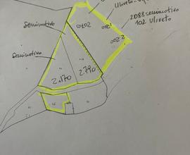 Appezzamento di terreno misto uliveto seminativo