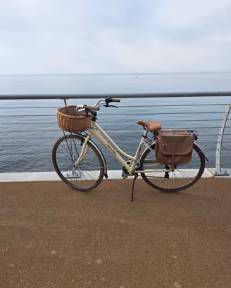 city bike dolce vita