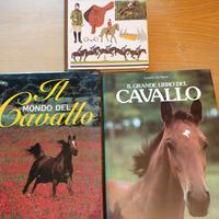 Manuale di equitazione+due libri sul cavallo