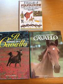 Manuale di equitazione+due libri sul cavallo