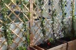 Attico di 70 mq oltre 70 mq terrazzo