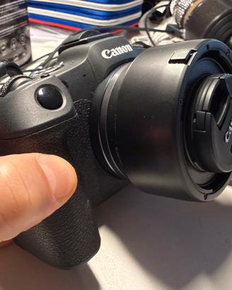 Canon R8 RF 24-50 + 50mm 1.8 + altro  100 scatti