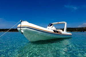 Gommone FM 570 + Motore Mercury Pro 40/60 cv