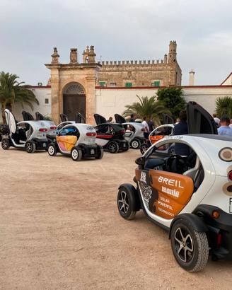 RENAULT TWIZY: Vari modelli SINGOLA O IN BLOCCO