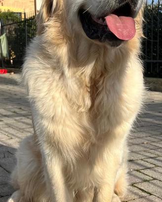 Disponibile per monte