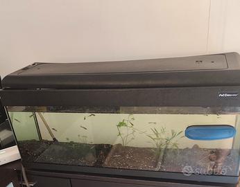 acquario 
