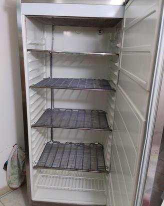 Armadio congelatore acciaio inox Zanussi
