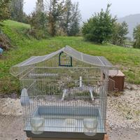 Gabbietta per uccellini