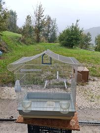 Gabbietta per uccellini