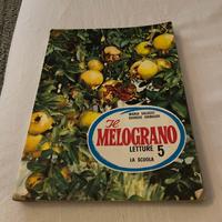 Libro sussidiario il melograno letture la scuola 5