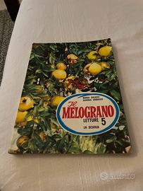 Libro sussidiario il melograno letture la scuola 5