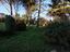 Immagine 17