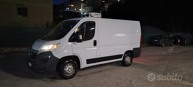 Fiat ducato Frigo