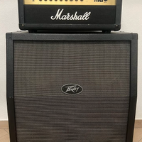 Marshall MG100FX e Cassa peavey 4x10